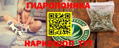 a pvp Владимир
